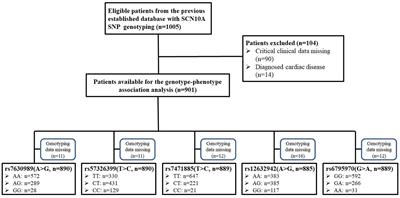 The Role of Voltage-Gated Sodium Channel 1.8 in the Effect of Atropine on Heart Rate: Evidence From a Retrospective Clinical Study and Mouse Model